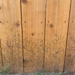 IMG_0149