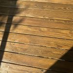 IMG_5245