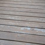 PXL_20250804_134421488