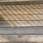 IMG_8800