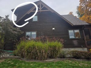 House-Stain-Marks-LG