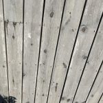 IMG_6965